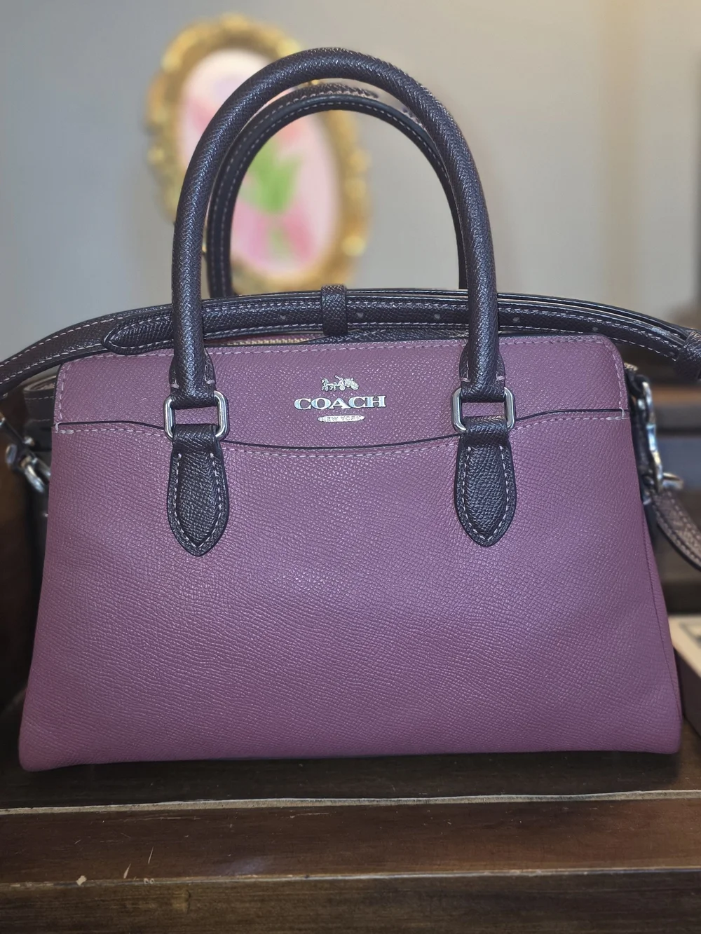Coach Mini Darcie Carryall